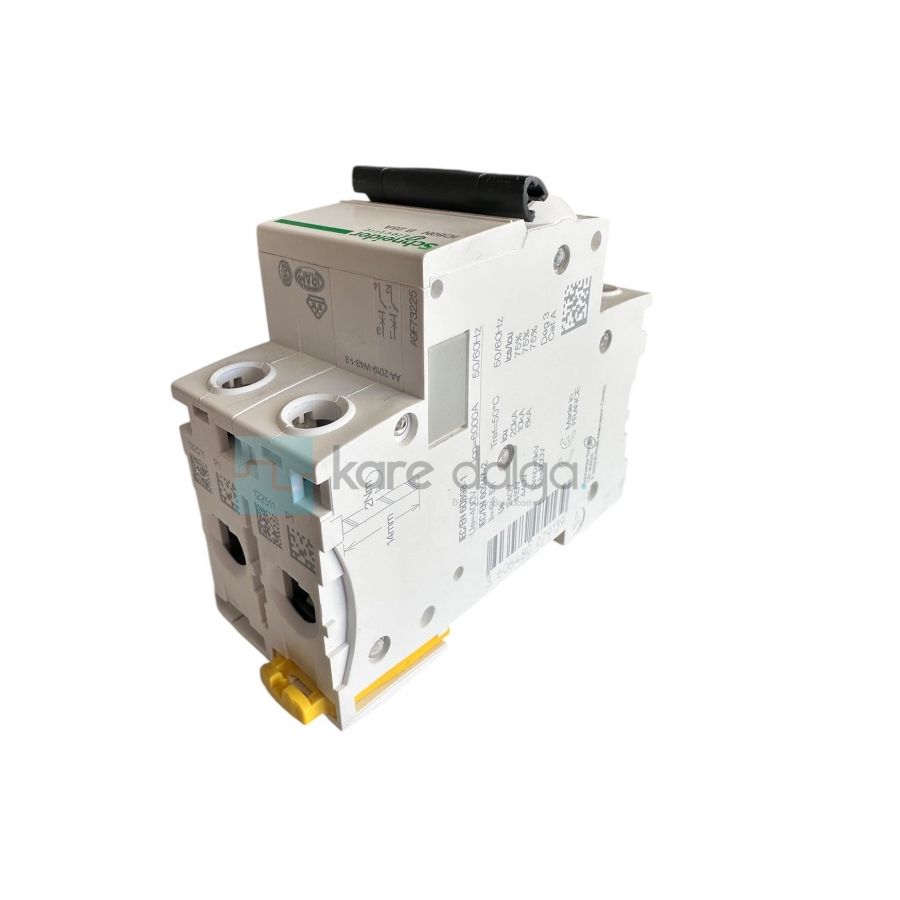 Schneider IC60N B25A Devre Kesici 2P 25A B Eğrisi